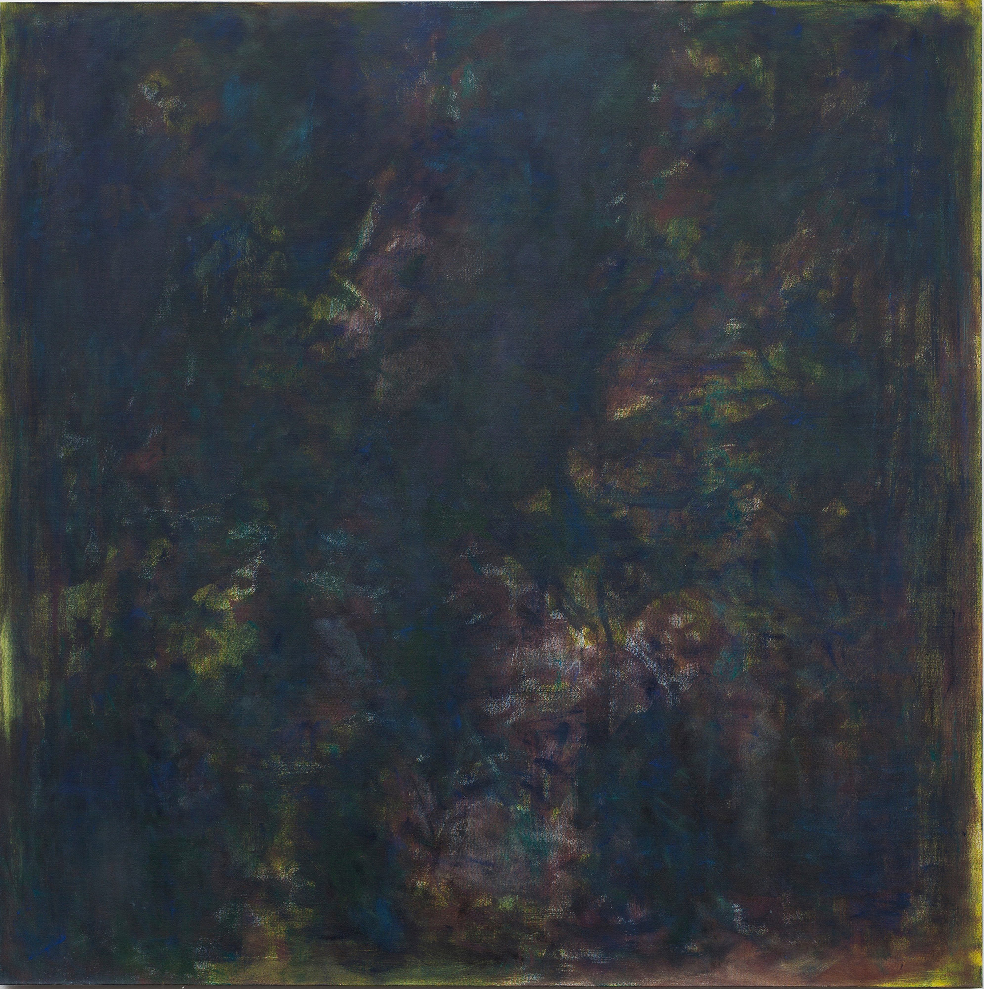 Image - Night Forest 2015